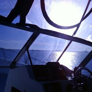 Meet your Posher, Linds